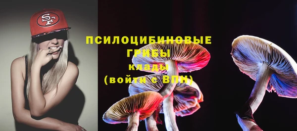 прущий лед Аркадак