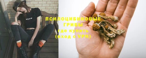 круглые Арсеньев