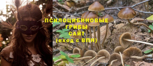 круглые Арсеньев